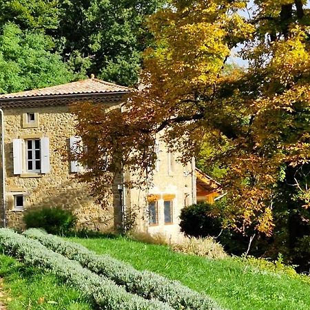 Gite Du Grand Delmas 보르도 외부 사진